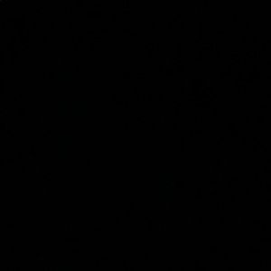 Meet your Posher, Havis